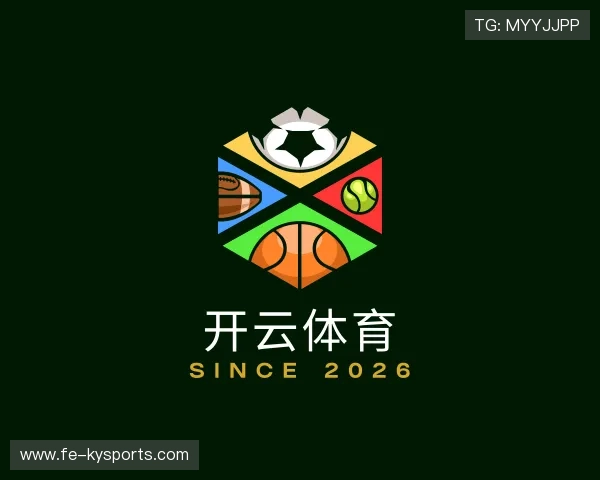 介绍开云app